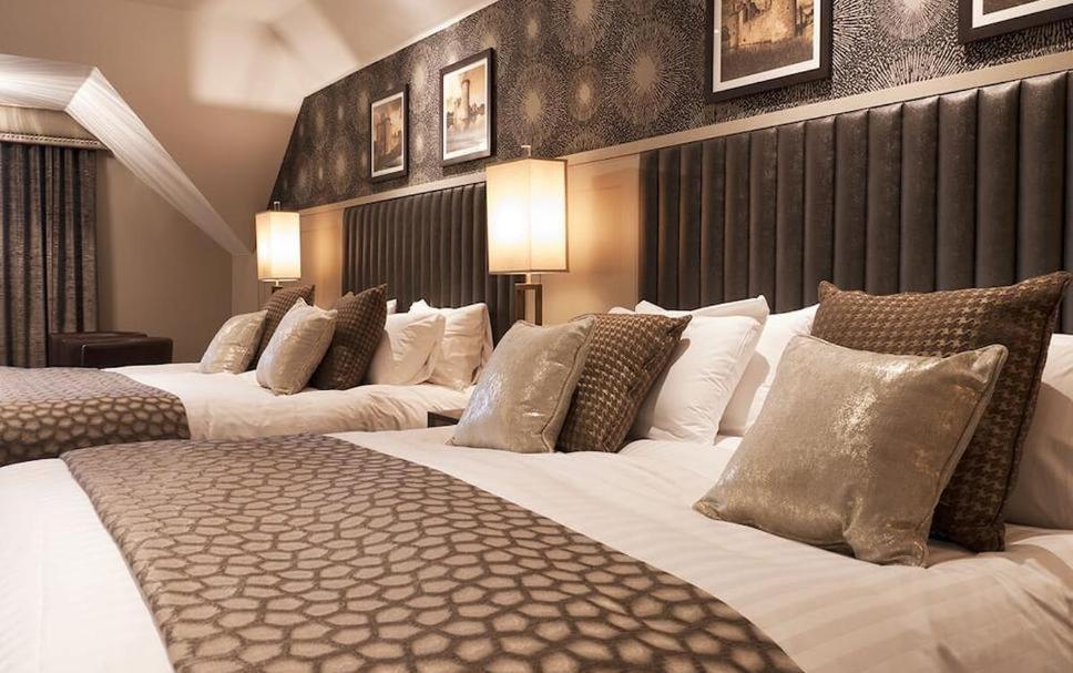 Hotel Tulip Near Delhi Airport New Delhi Room photo